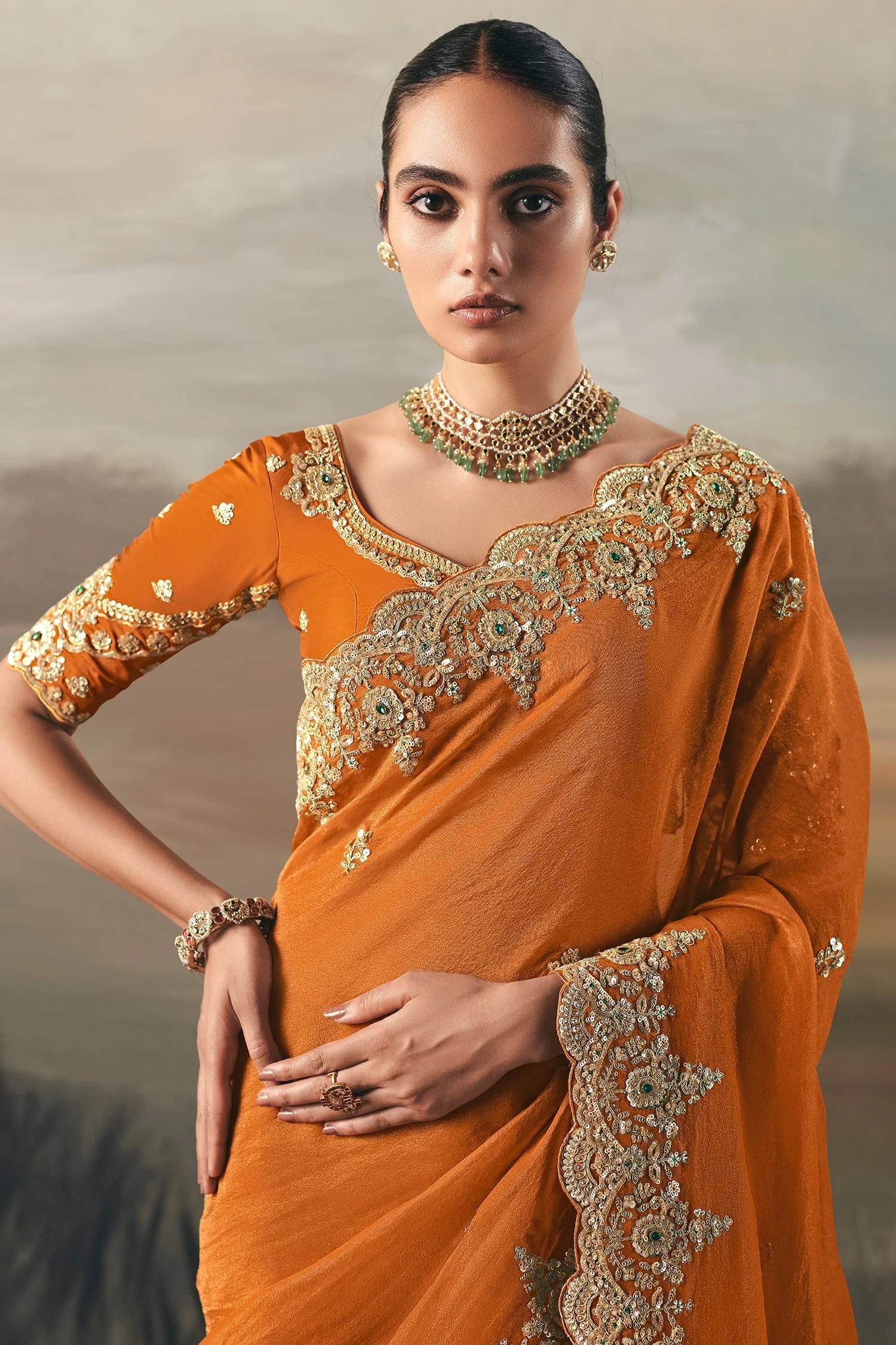 Orange Tissue Saree with Sequin and Embroidered Border - Image 2